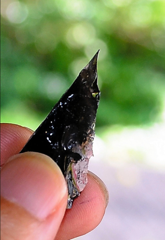 黒曜石とりに神津島へ　旧石器時代の景色　油彩　真作画　F4　清々しい汚染のない海 外洋にこぎ出し黒曜石を徹底探索 鮮明になってきた旧石器時代の